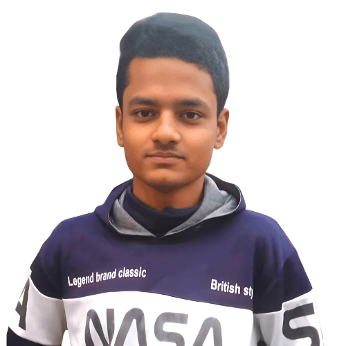 Mehedi Hasan has gone missing 