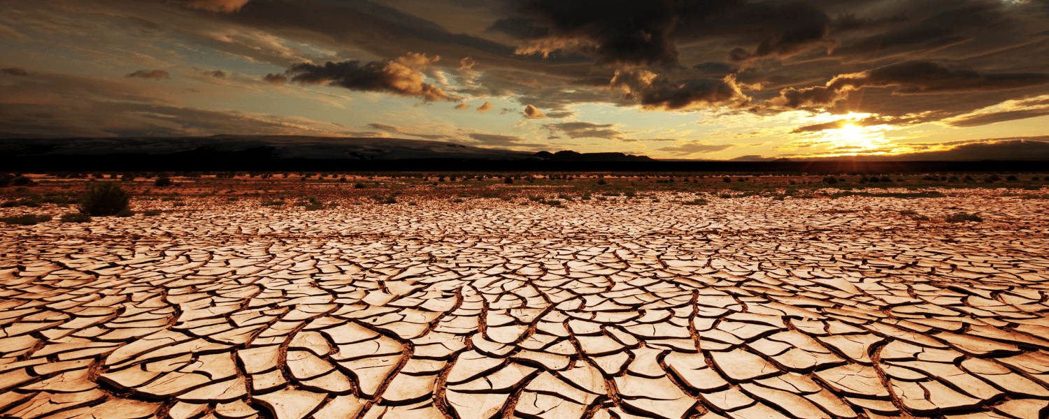 Oneclick foundation Serious Problem banner 4